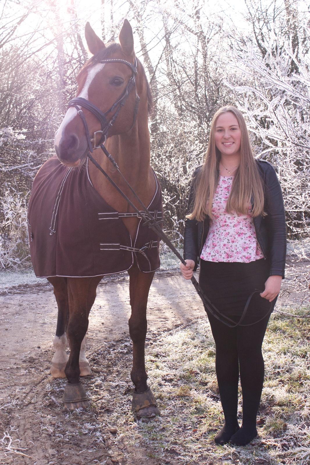 Dansk Varmblod Landanos - FU 14/15 billede 1