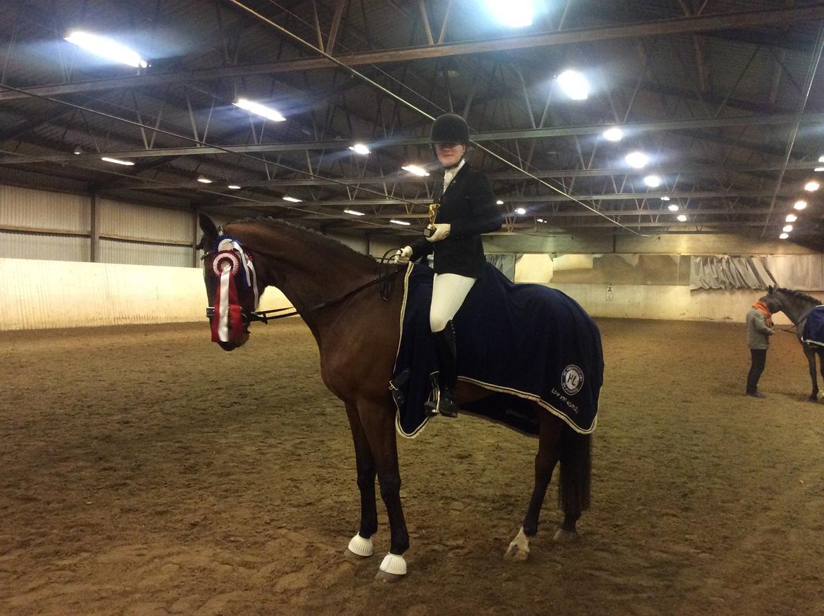 Dansk Varmblod Grevens Limone billede 8