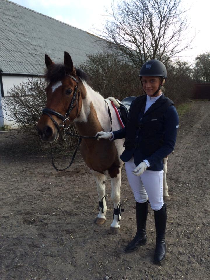 Anden særlig race Avanti - Sødeste pony-prut billede 2