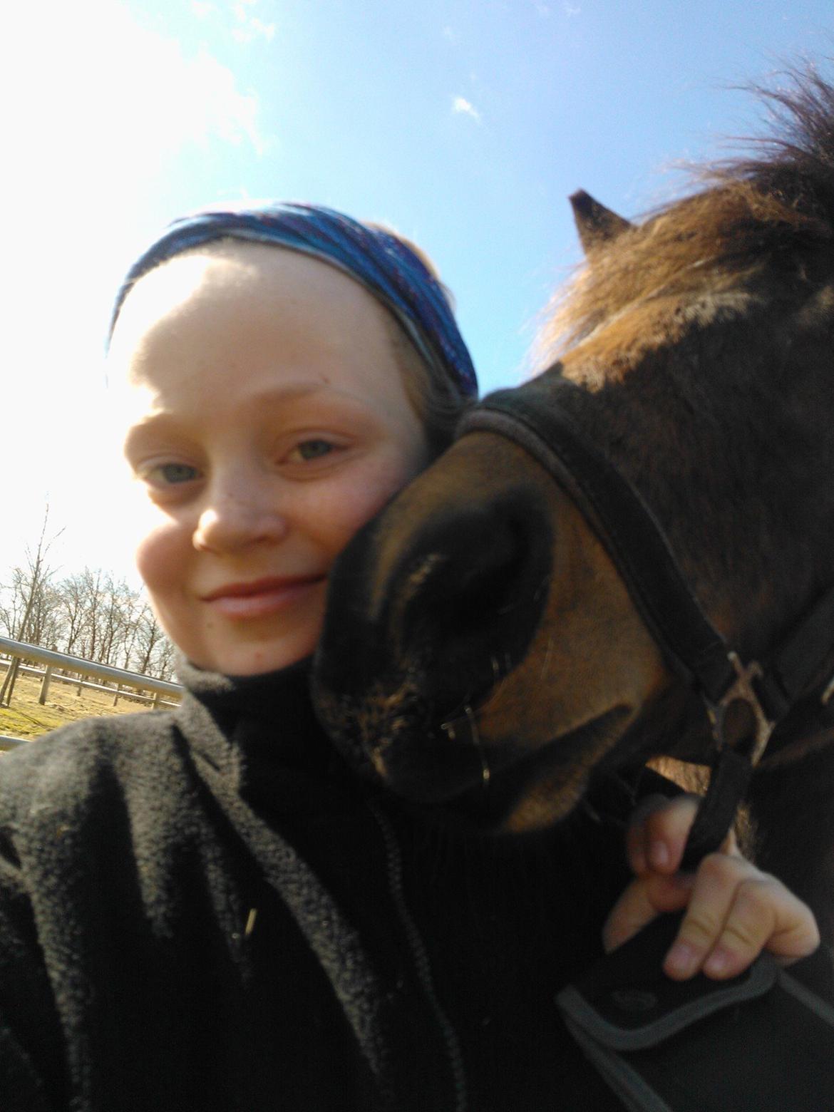 Anden særlig race No Body's Perfect  billede 9