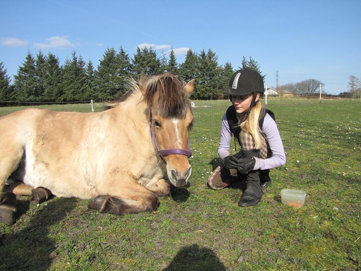 Anden særlig race Freja (mit et og alt)<3 billede 4