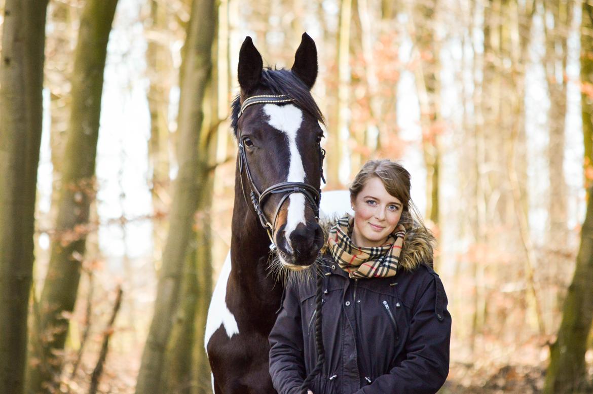 Pinto SØGAARDS MASTERPIECE (Solgt) billede 18