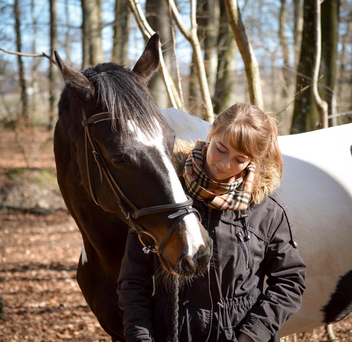 Pinto SØGAARDS MASTERPIECE (Solgt) billede 12