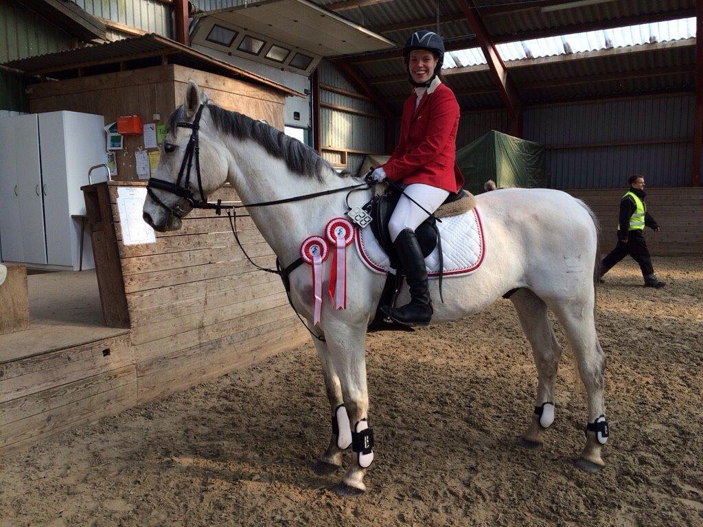 Dansk Varmblod catano - vinder af to gange lb billede 17