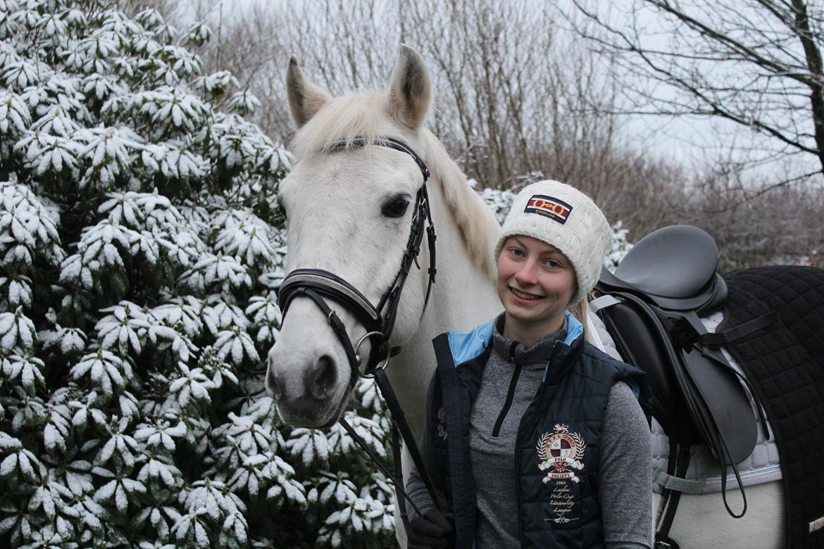 Anden særlig race Twister - Velkommen til Twisters profil <3 - 2015 billede 1