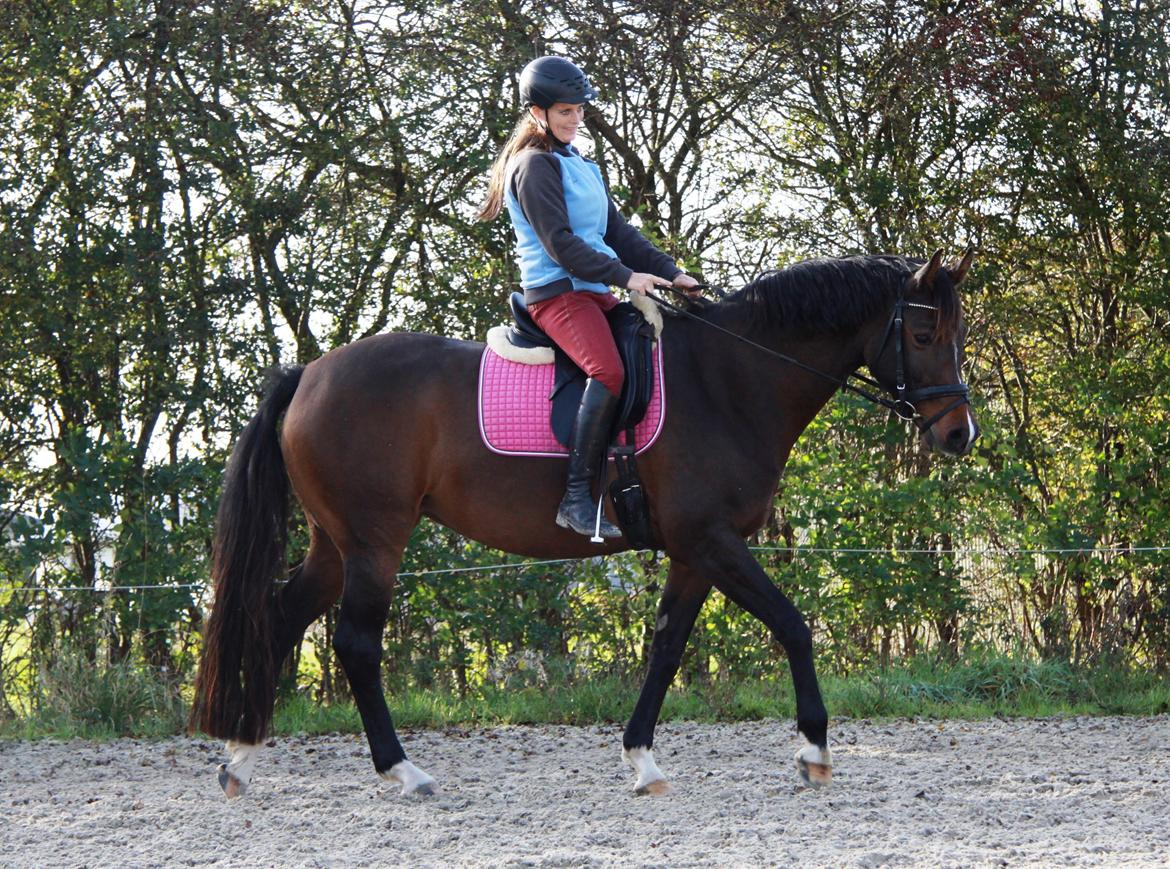 Holstener Waltea billede 2