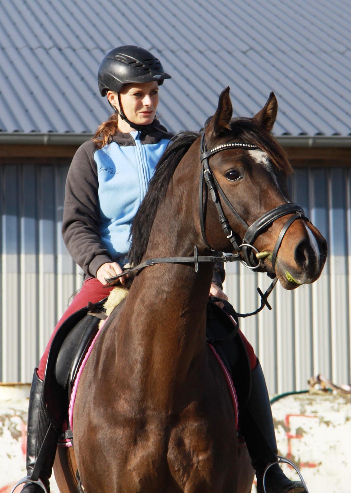 Holstener Waltea billede 6