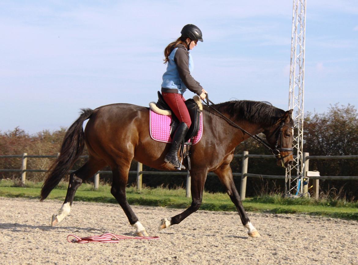 Holstener Waltea billede 7