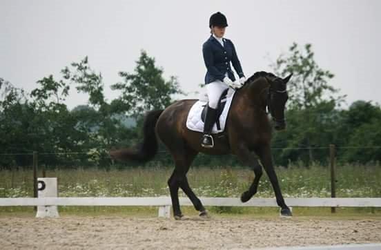 Trakehner Kayla Dyrhave - La4 trakehner sommerstævne 2014 billede 15