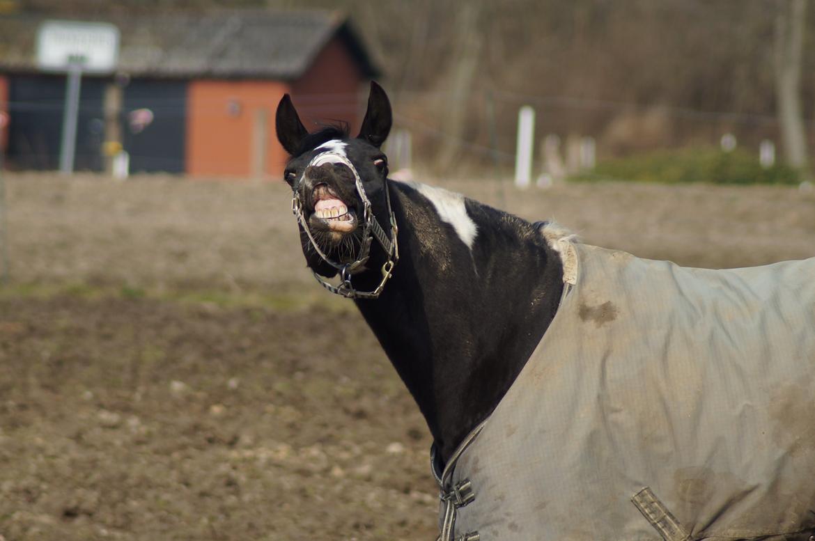 Paint Eskelunds Helga <3  - Smil til verden så smiler den til dig <3 <3 billede 31