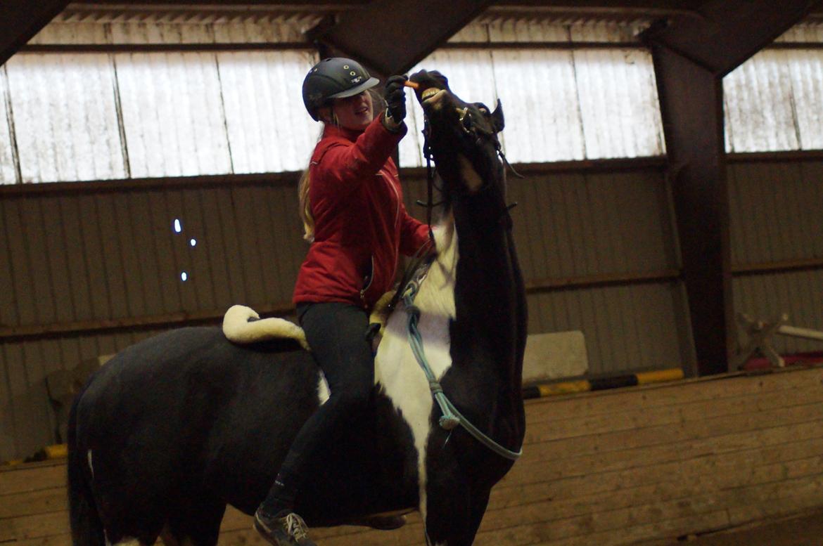 Paint Eskelunds Helga <3  billede 37