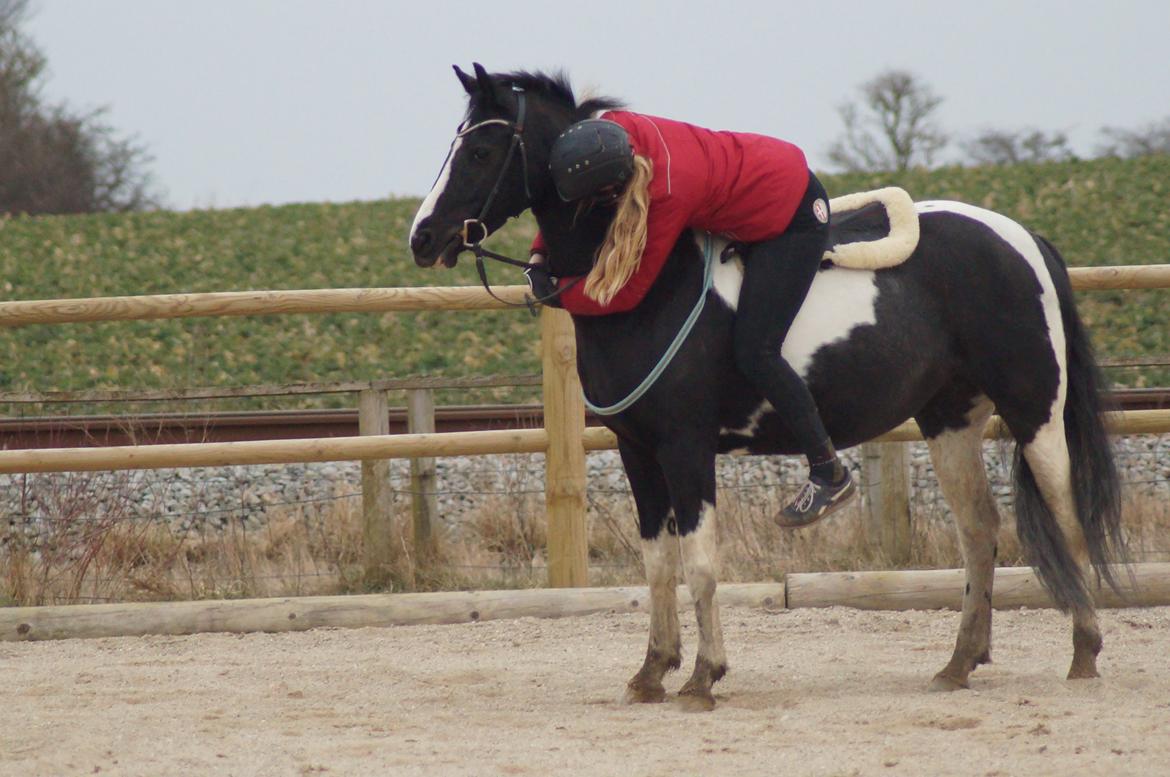 Paint Eskelunds Helga <3  billede 34