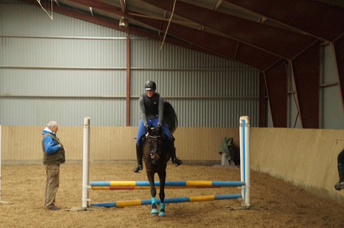 Anden særlig race Gipsy Girl billede 9