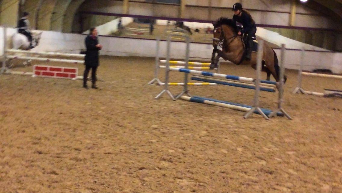 New Forest Saxos Sir kick a' lot billede 23