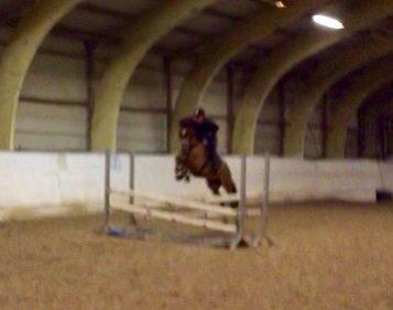 New Forest Saxos Sir kick a' lot billede 26