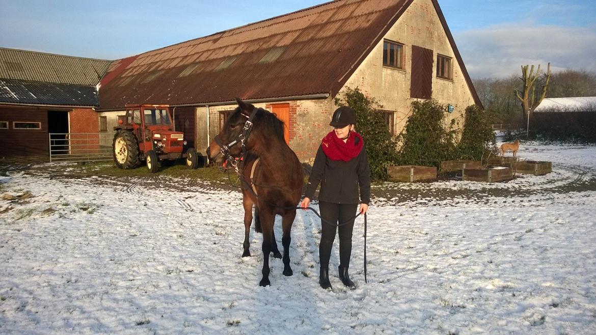 Anden særlig race No Body's Perfect  billede 10