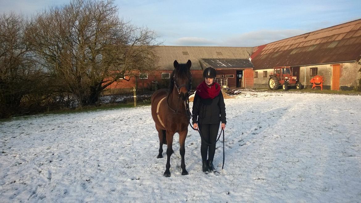 Anden særlig race No Body's Perfect  billede 12