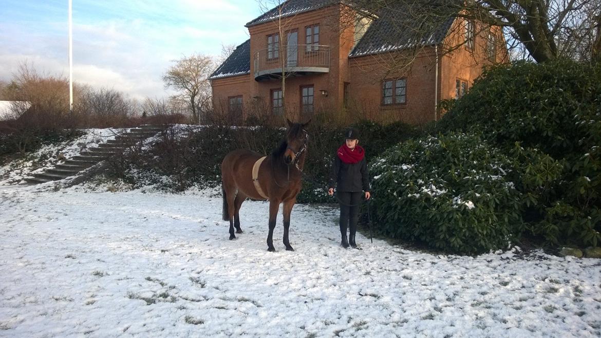 Anden særlig race No Body's Perfect  billede 13