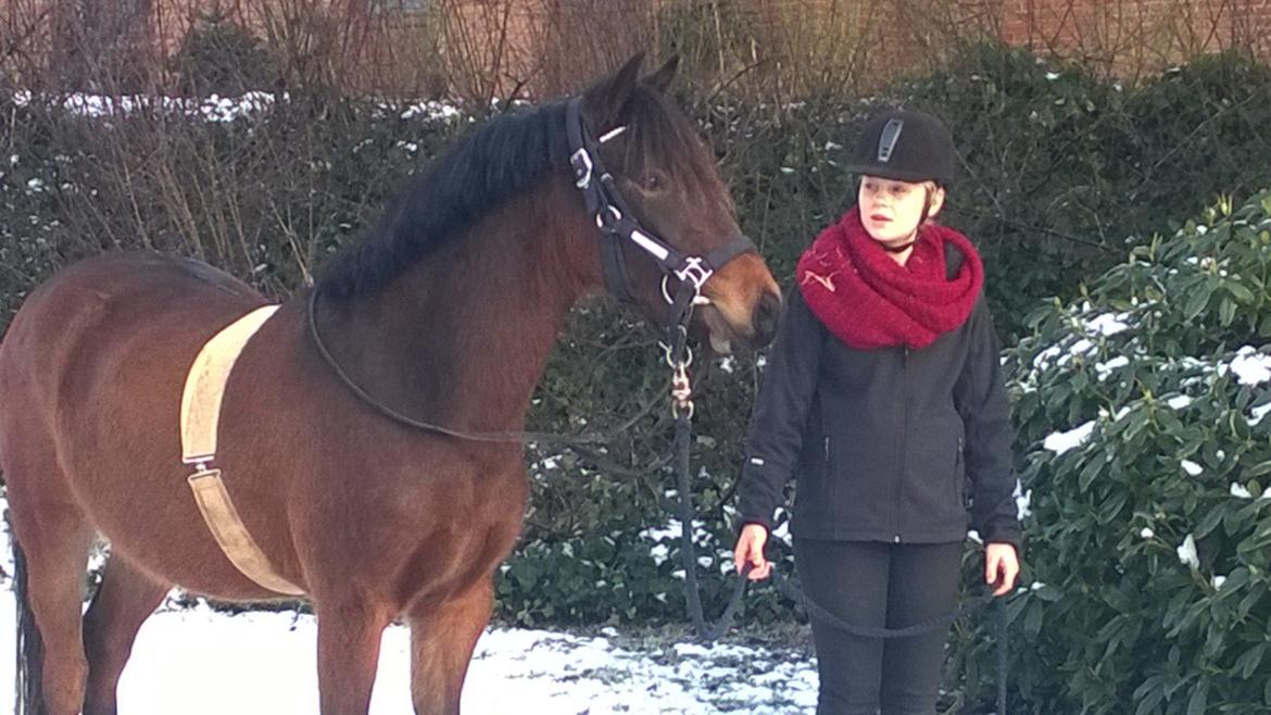 Anden særlig race No Body's Perfect  billede 14