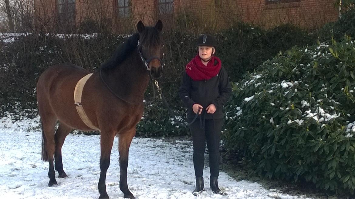 Anden særlig race No Body's Perfect  billede 15