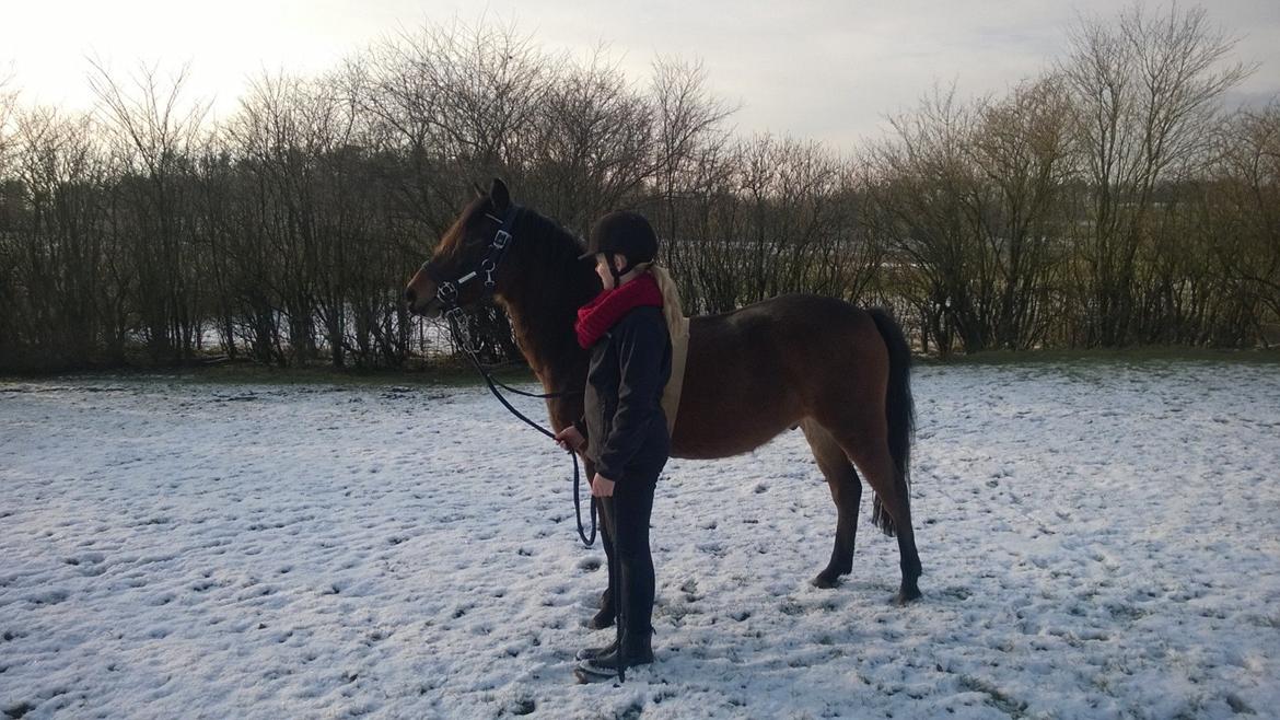 Anden særlig race No Body's Perfect  billede 11