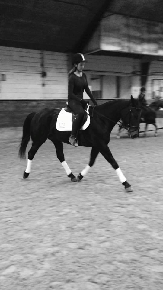 Anden særlig race Galgebakken's Samantha billede 7