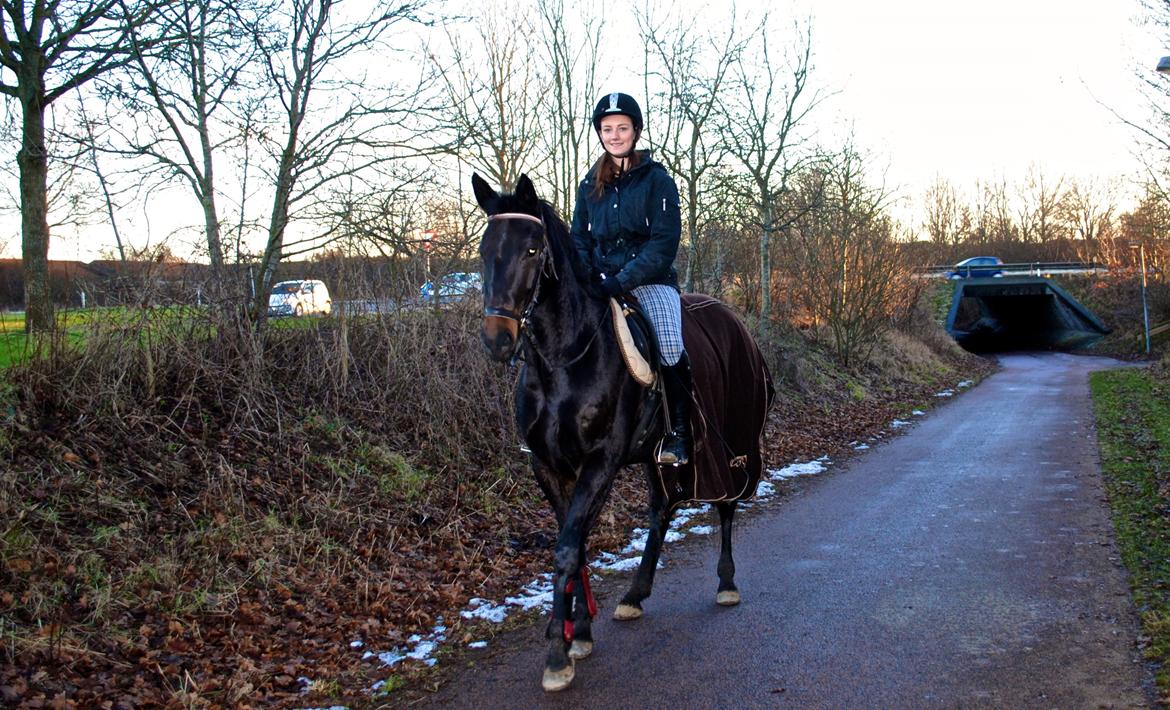 Anden særlig race Galgebakken's Samantha billede 6
