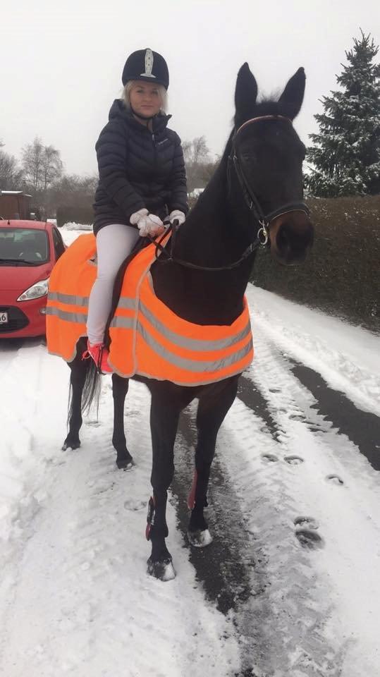 Anden særlig race Galgebakken's Samantha billede 10