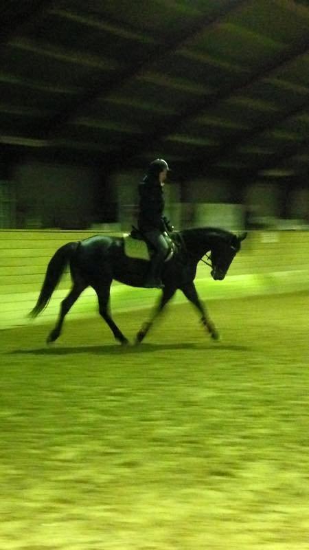 Anden særlig race Galgebakken's Samantha billede 5