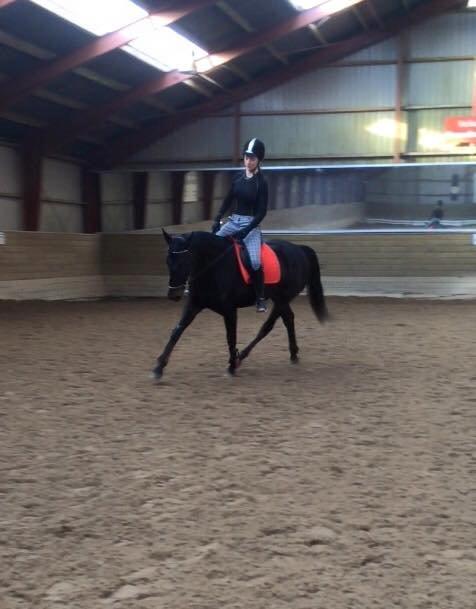 Anden særlig race Galgebakken's Samantha billede 11