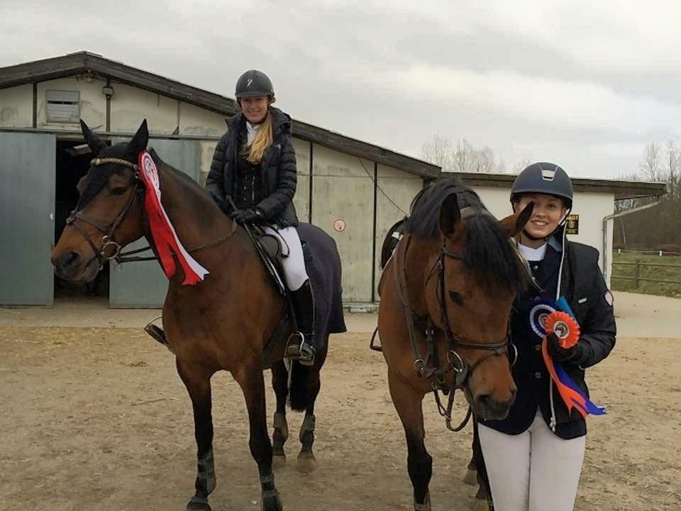 Svensk Varmblod Cherrio (swb) - Første stævne 2 plads i LB*-105 (vestegenspokalen) stået af min veninde Amanda Mai på pillo <3 billede 4