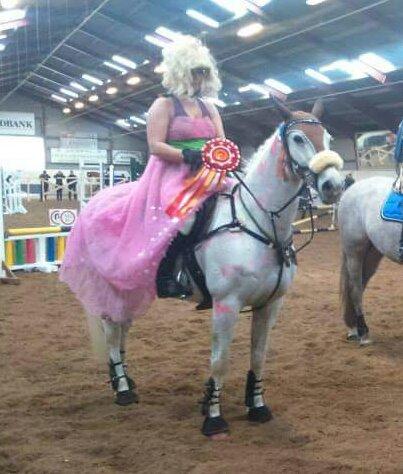 Dansk Varmblod La-troya billede 17