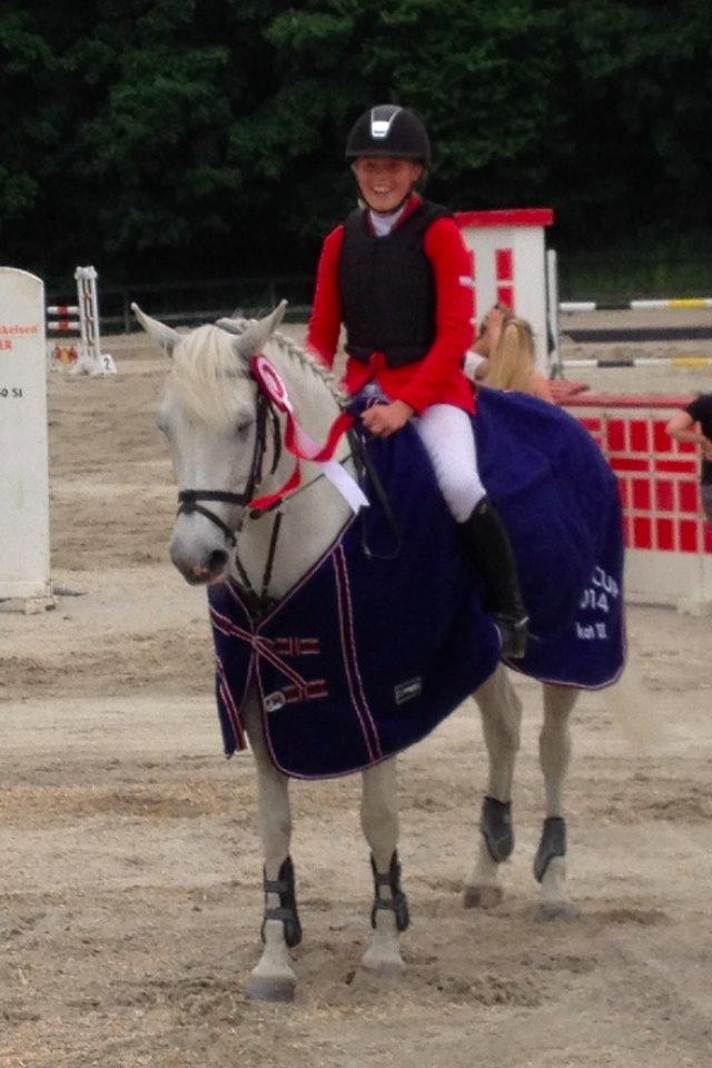 Anden særlig race Vestergaards Quick Step (B-Pony) billede 1