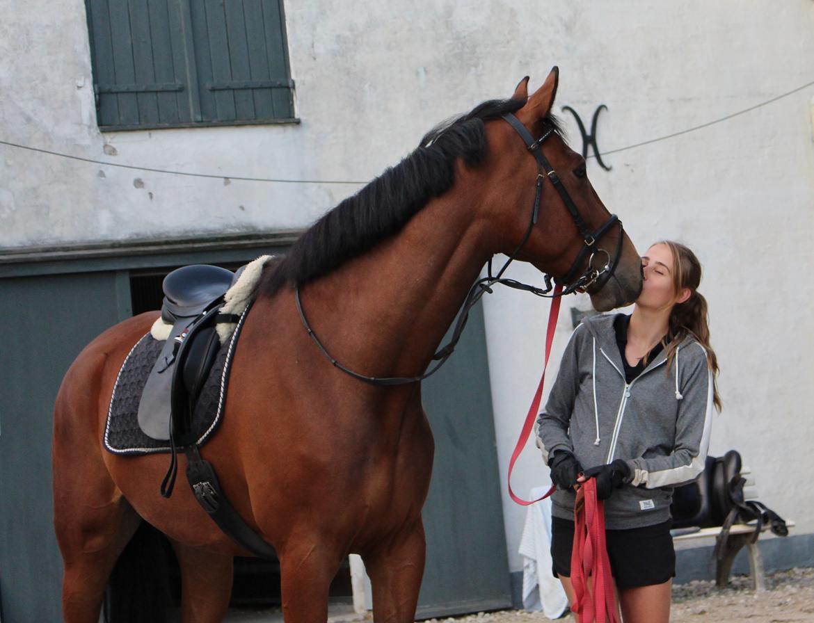 Anden særlig race Mikado - Fik lige et dejligt kys billede 11