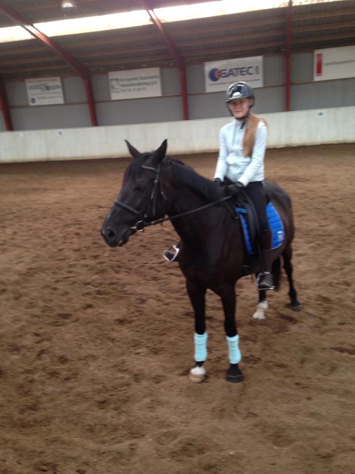 Anden særlig race Chanel  - Genoptræning efter en periode hvor hun havde halt. 2014 billede 12