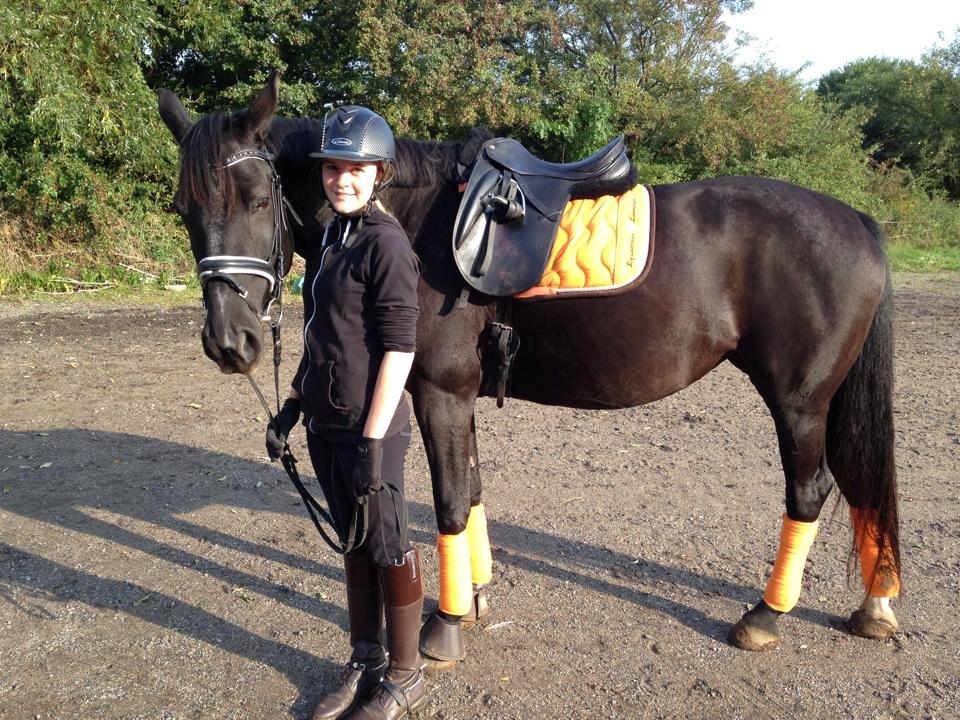 Anden særlig race Chanel  - Efter træning sommeren 2014 billede 15