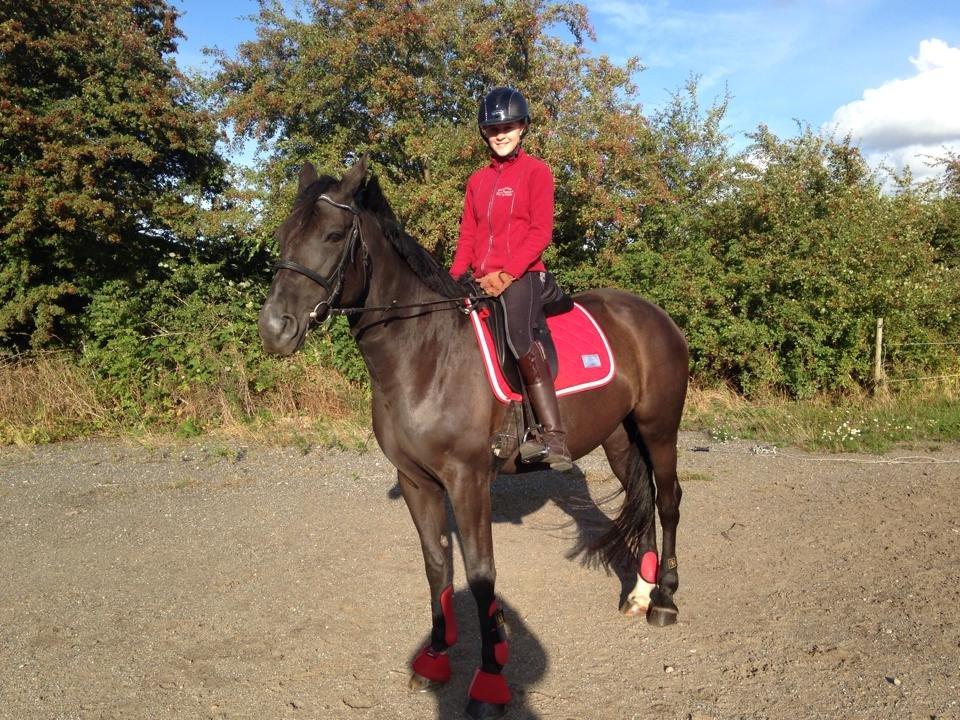 Anden særlig race Chanel  billede 1