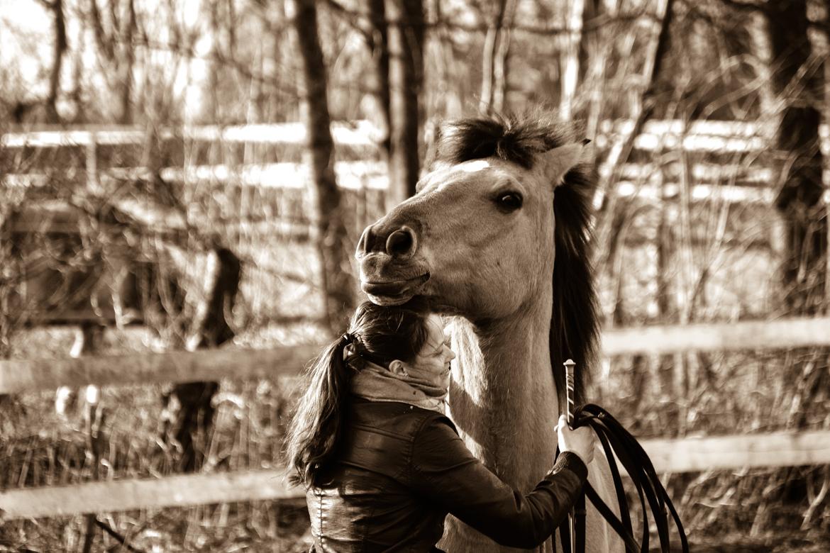 Anden særlig race Lukas billede 2