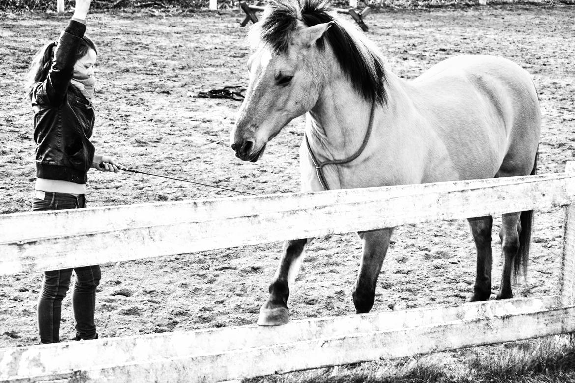 Anden særlig race Lukas billede 20