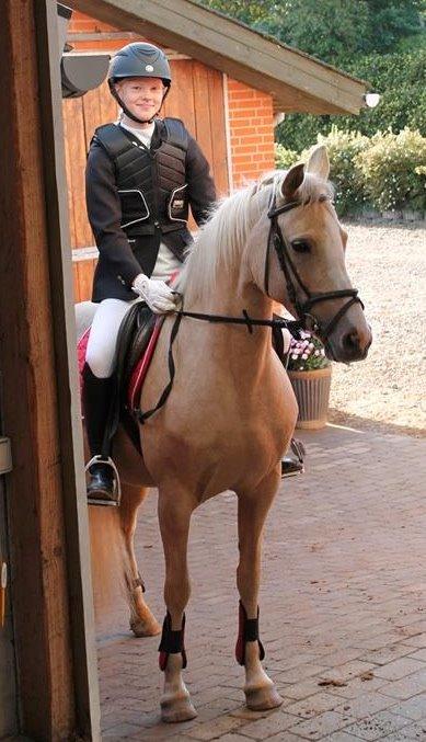 Anden særlig race FREDENS SHEER SILK billede 3