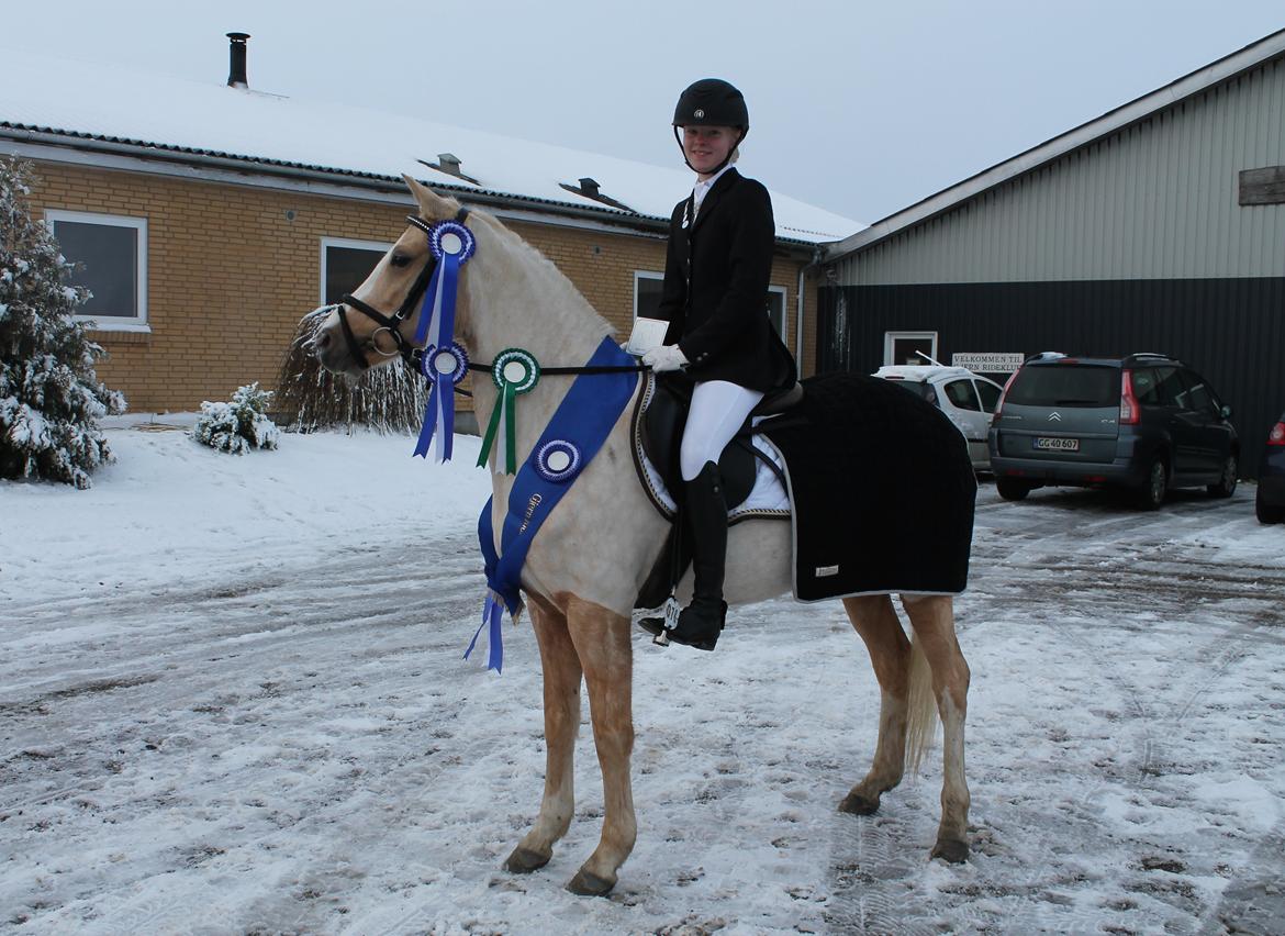 Anden særlig race FREDENS SHEER SILK - Gjern cup billede 4