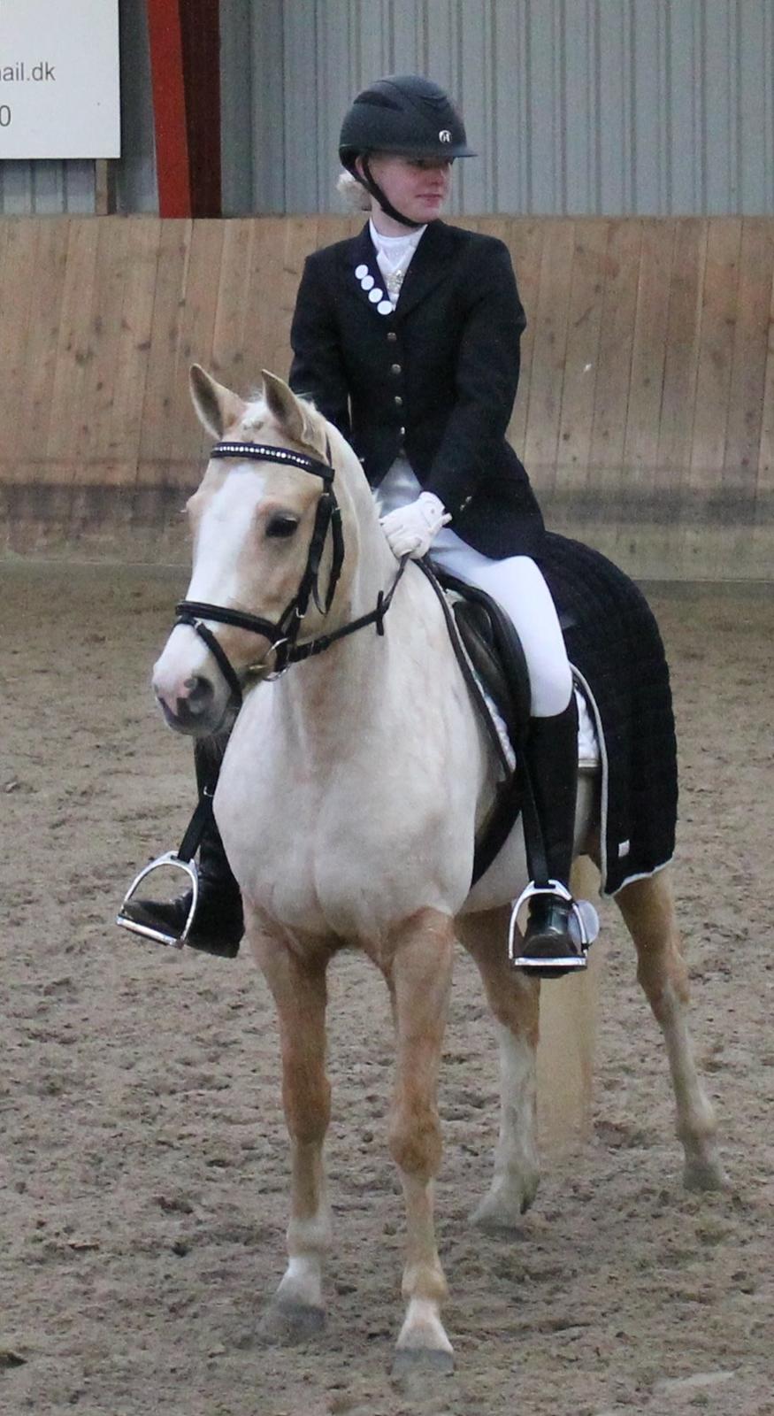 Anden særlig race FREDENS SHEER SILK billede 6