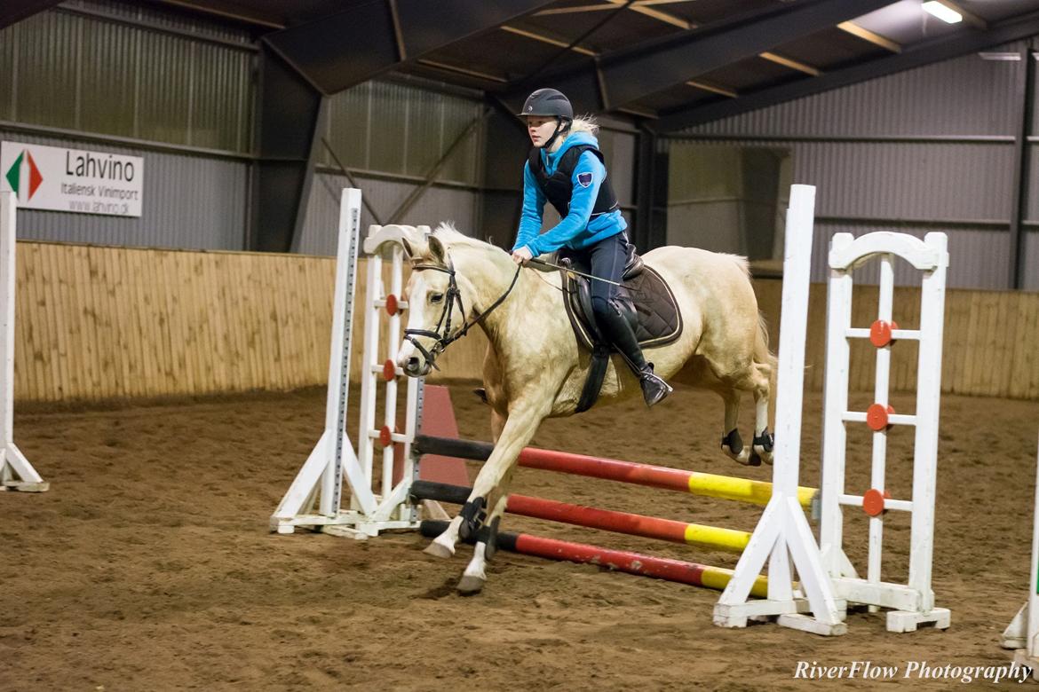 Anden særlig race FREDENS SHEER SILK - Ring og spring <3 billede 7