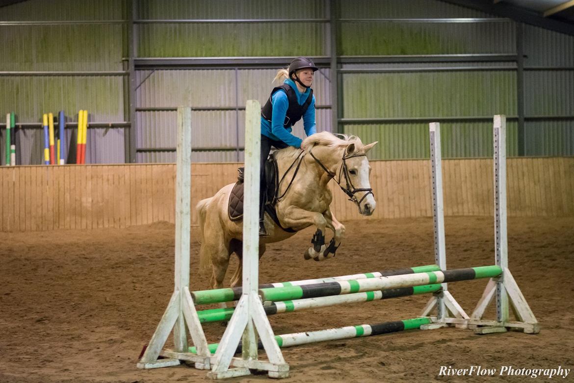 Anden særlig race FREDENS SHEER SILK - Ring og spring <3 billede 5