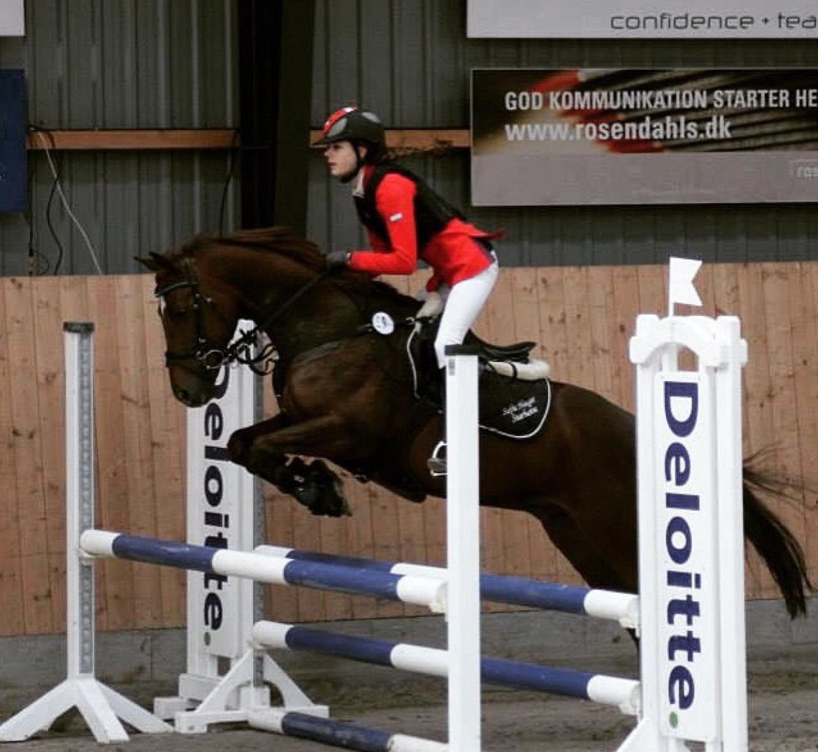 Anden særlig race Top  murdoch billede 9