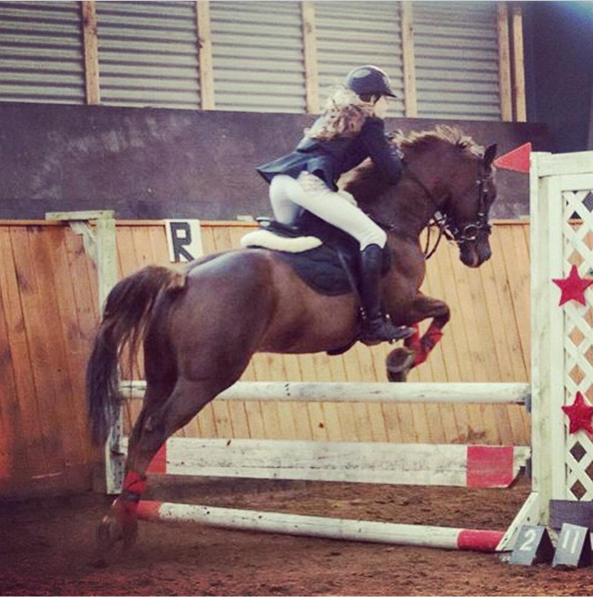 Anden særlig race Top  murdoch billede 13