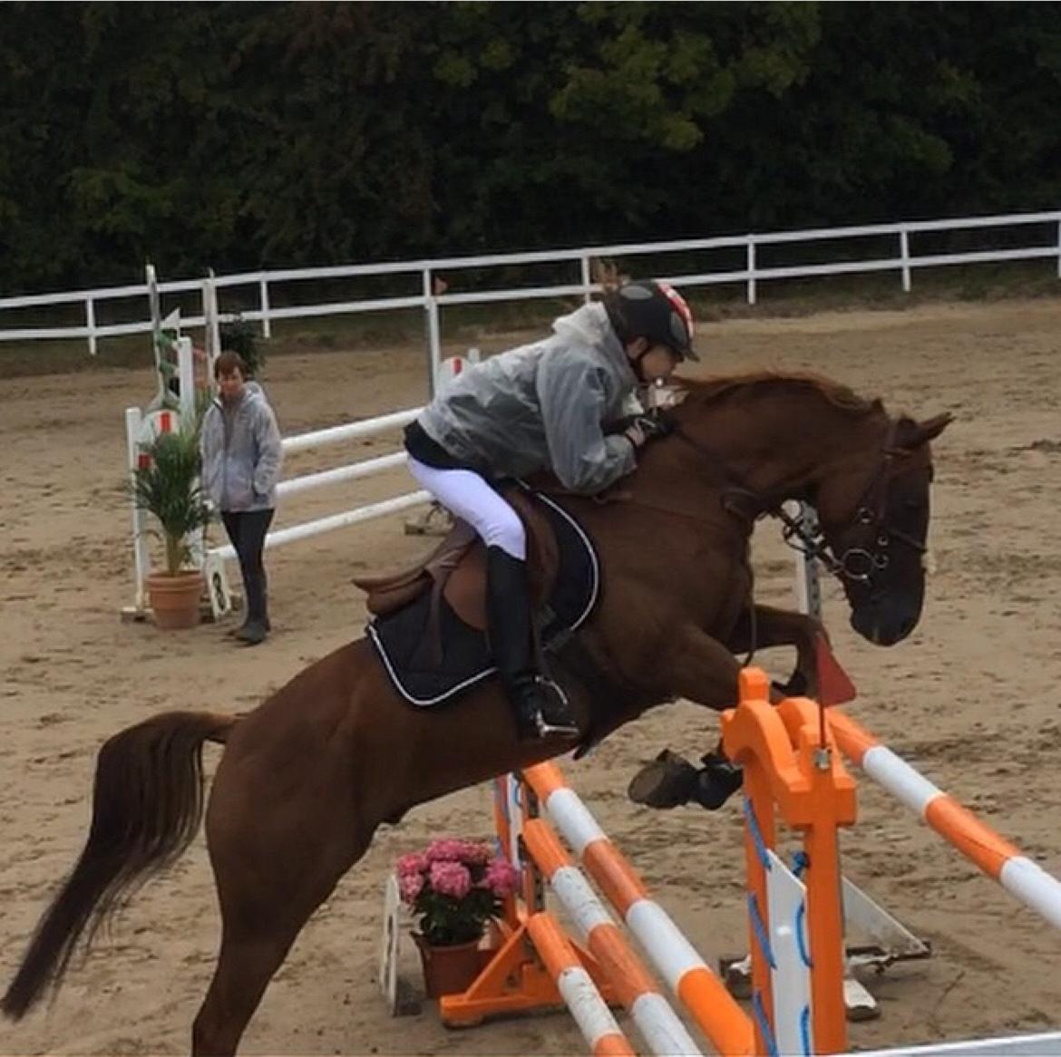 Anden særlig race Top  murdoch billede 14