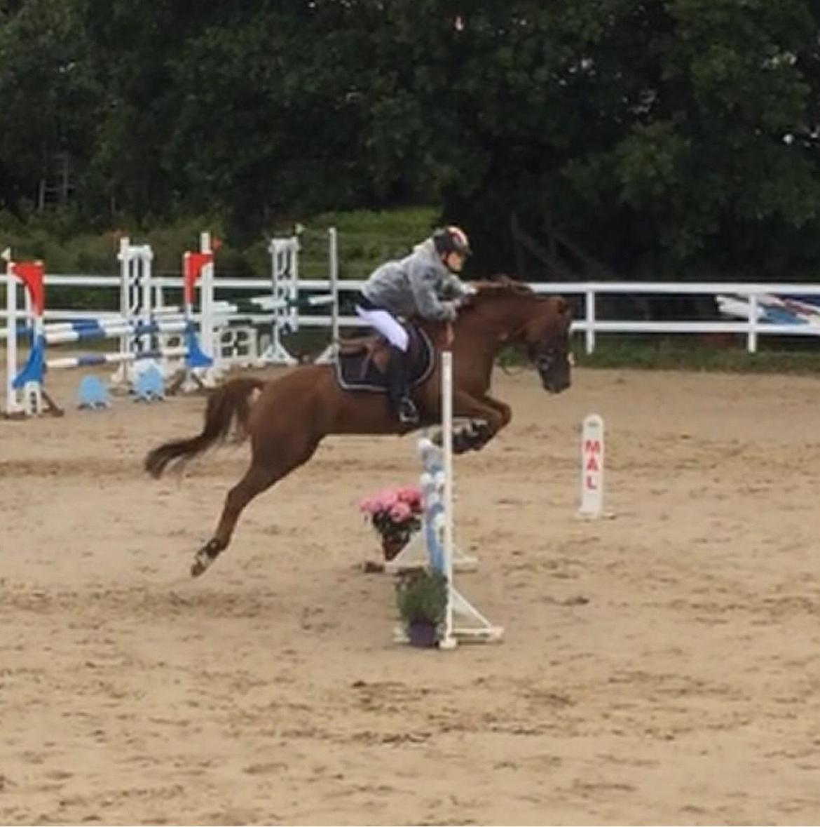 Anden særlig race Top  murdoch billede 10