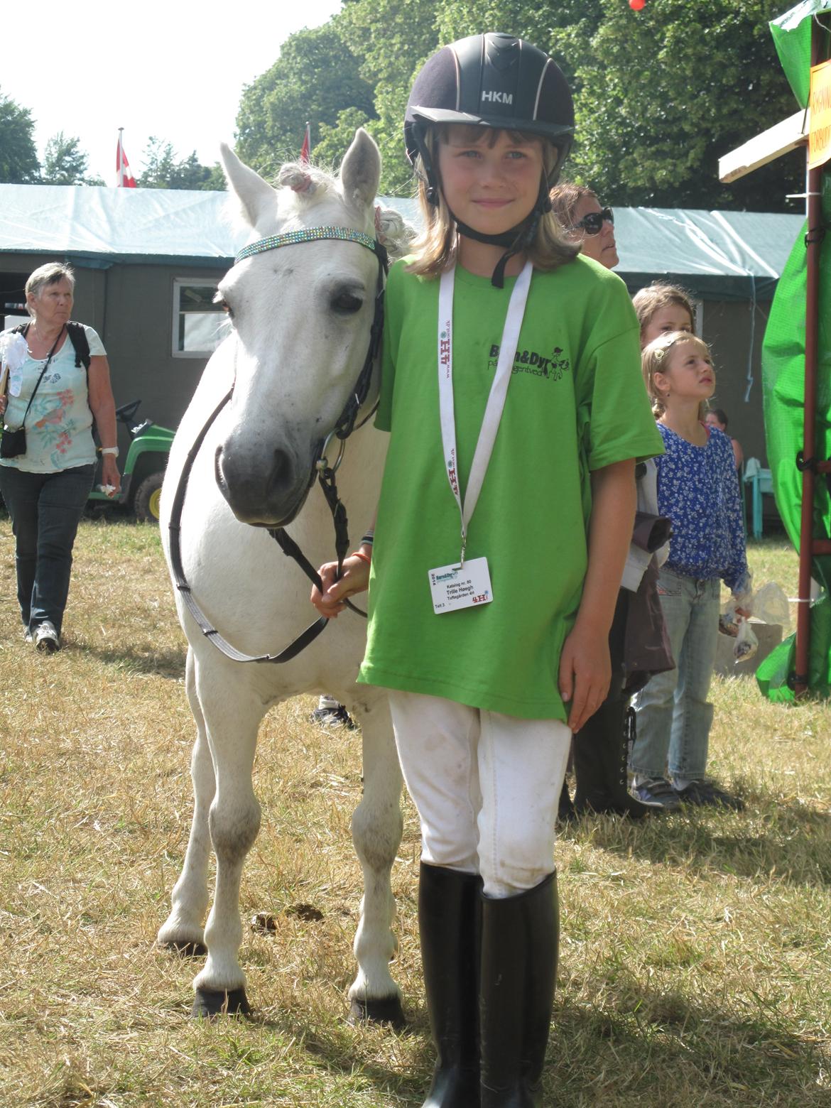 Shetlænder Molly billede 9
