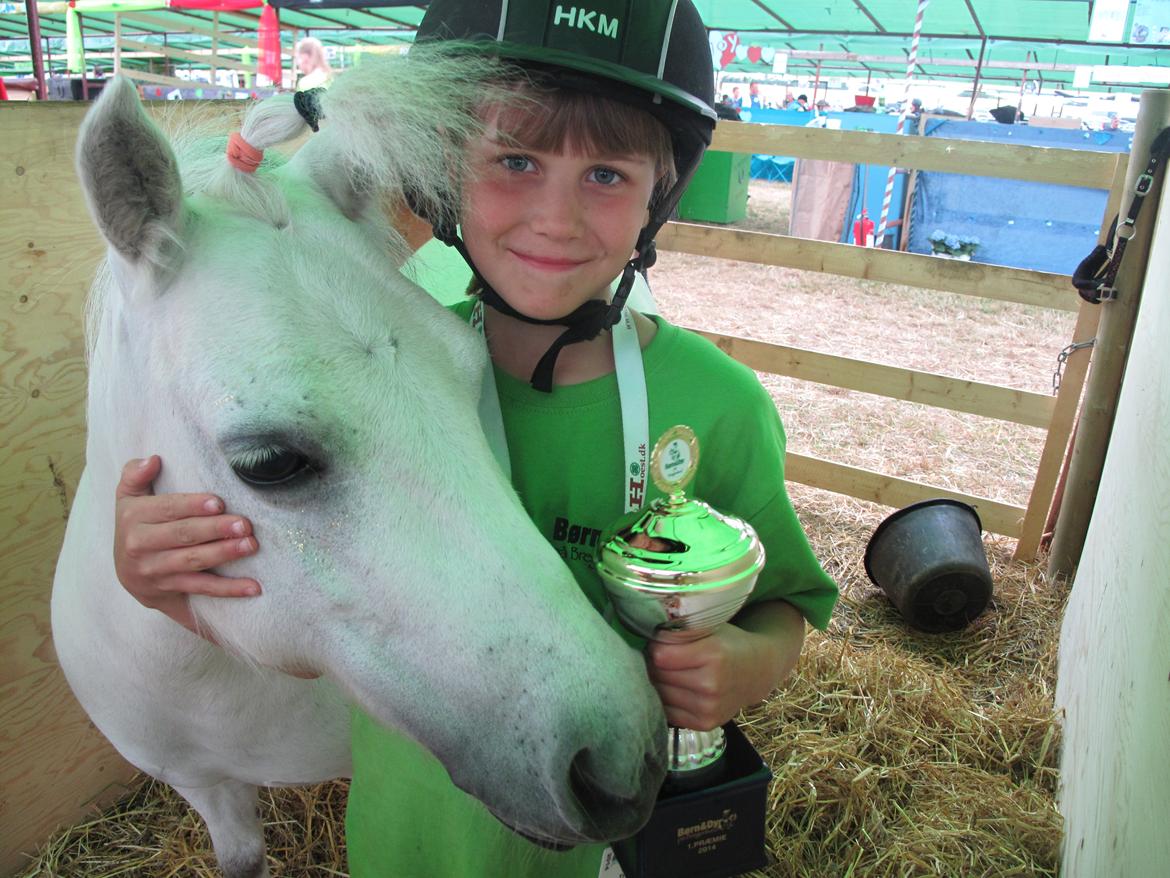 Shetlænder Molly billede 13